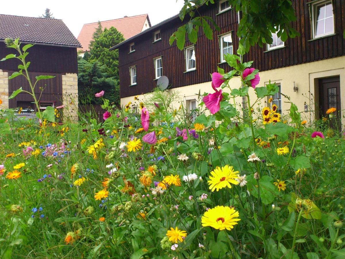 Comfy Apartment In Weissig With Garden Pokój zdjęcie
