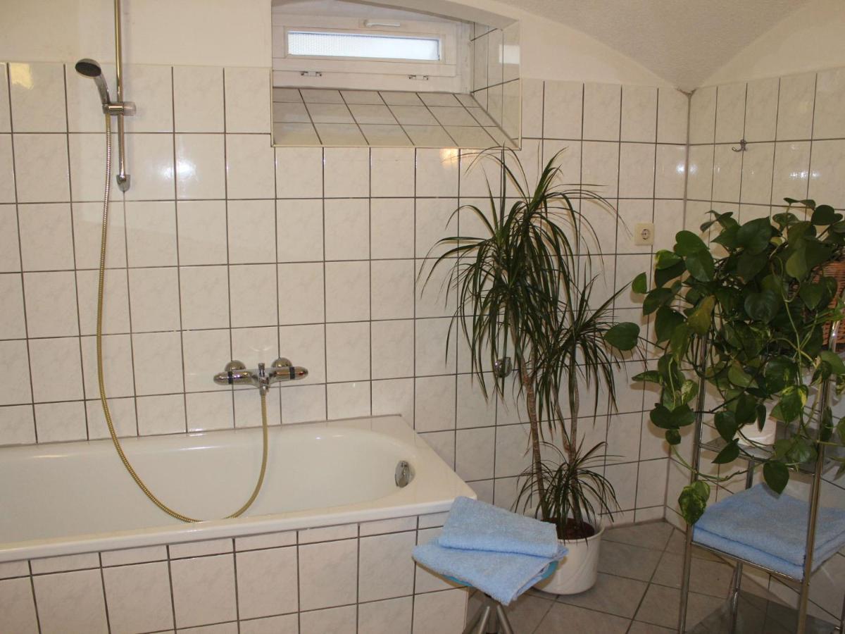 Comfy Apartment In Weissig With Garden Zewnętrze zdjęcie